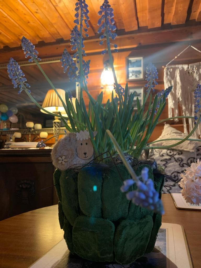 Na Stoku Apartment Swieradow-Zdroj Bagian luar foto