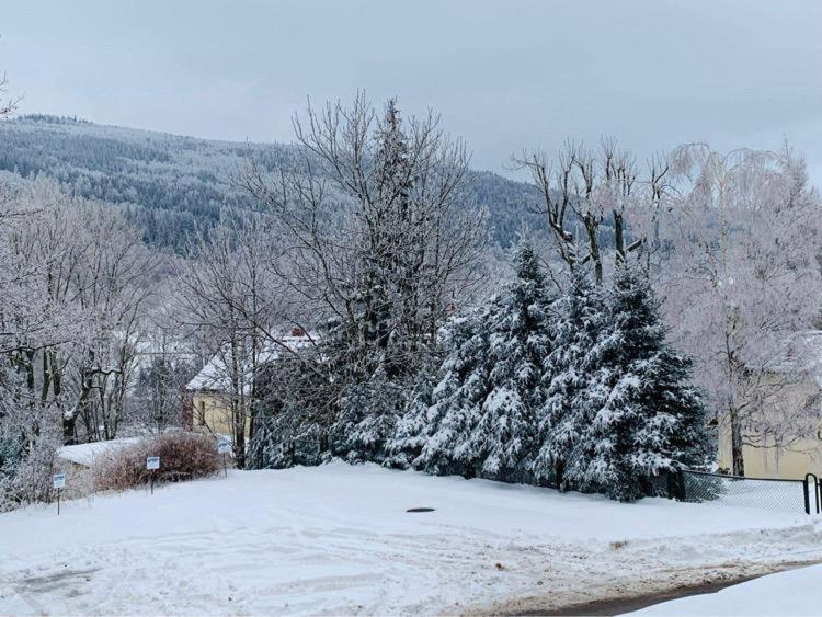 Na Stoku Apartment Swieradow-Zdroj Bagian luar foto